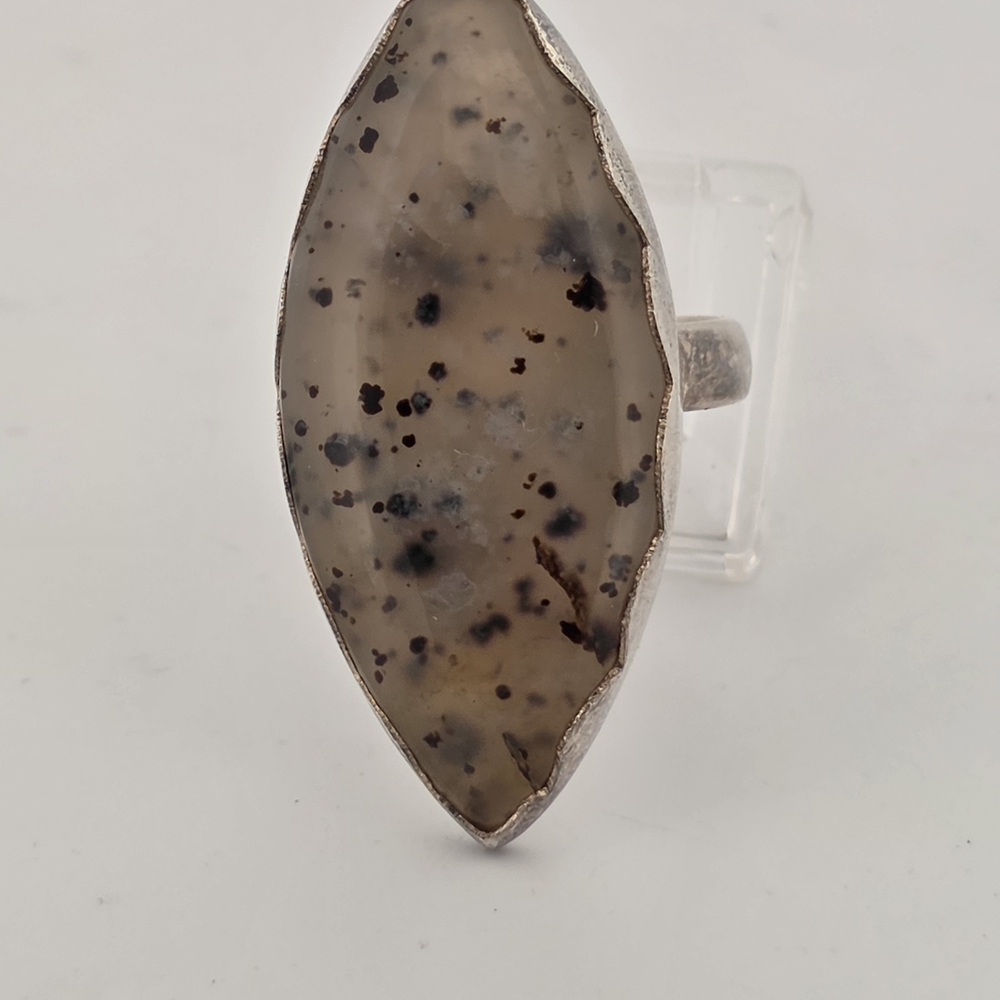 Elegant Montana Agate S925 Ring